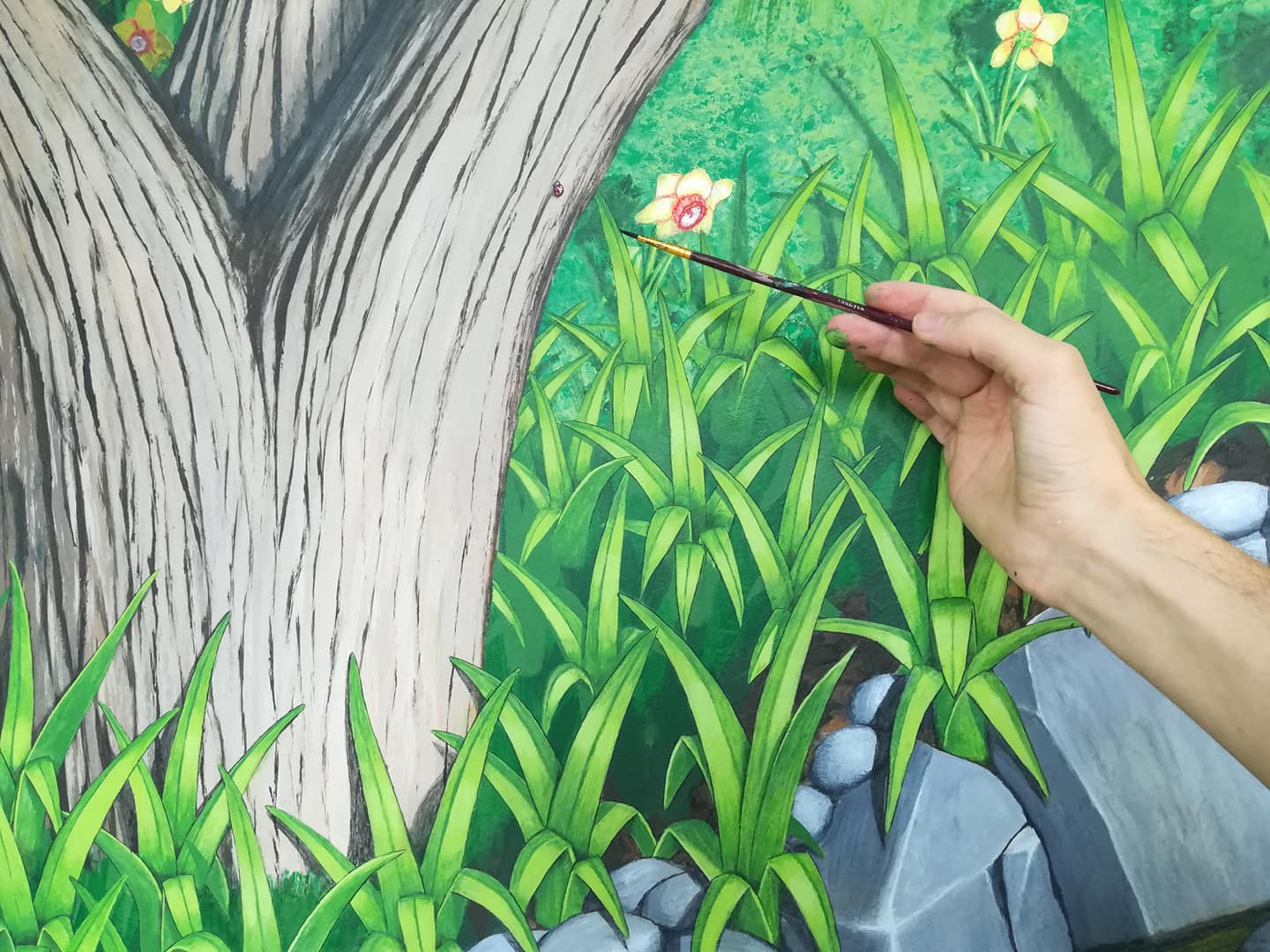 Photo détaillée de la coccinelle