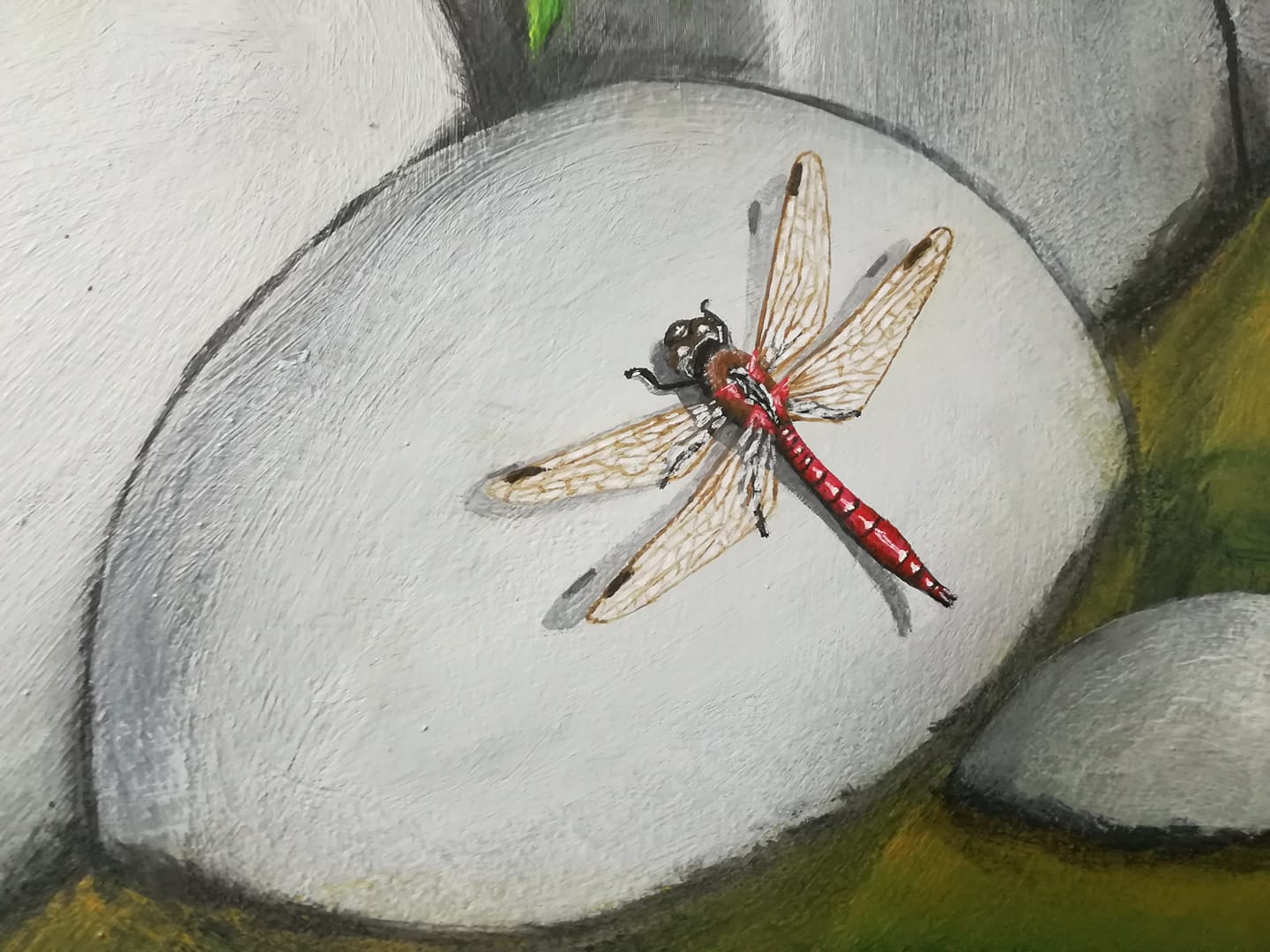 Photos détaillée de la libellule